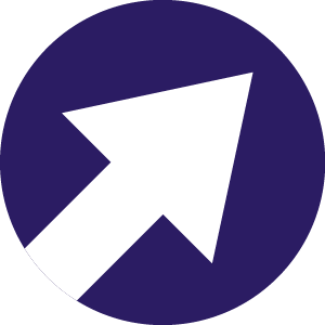 evaluation-des-impacts icon